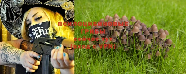 ALPHA PVP Алзамай