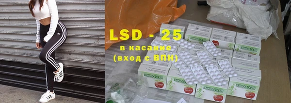 индика Абаза