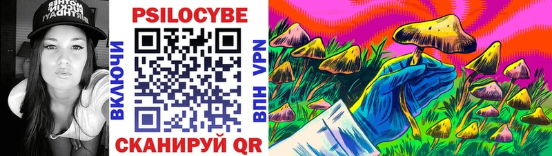 Галлюциногенные грибы Psilocybine cubensis  MEGA   Калининград  наркота 